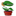 carnivor-plants.de