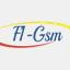 f1-gsm.com