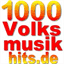 1000volksmusikhits.de