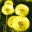 msmcseedproject.wordpress.com