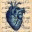subliminalsensibility.wordpress.com