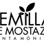 semillasantamonica.com