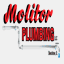 molitorplumbing.com