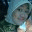 ririnyusrina.wordpress.com