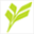 vinebranches.com