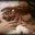 love2themoon.wordpress.com