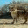 feedmykitty.wordpress.com