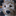 jacksonsdogblog.com