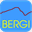 bergi-it-consulting.ch