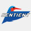 sentientvisionsystems.com