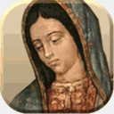 virgenperegrina.com