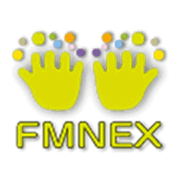 fmnex.co.jp