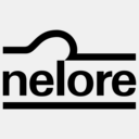 nelore.com.br