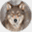 boeser-wolf.eu