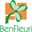 benfleuri.nl