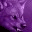 wolf4915.wordpress.com