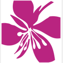 marias-beautybox.ch