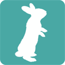 white-rabbit.org