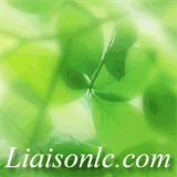 liaisonlc.com