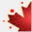 fscfireworks.ca