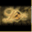 tloguild.wordpress.com