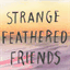 strangefeatheredfriends.bandcamp.com
