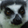 onemonthinmadagascar.com