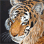 marcus.web29.ch