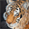 marcus.web29.ch