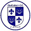 shaftesburycricket.co.uk