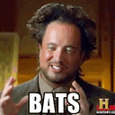 batwingdreams.tumblr.com