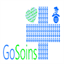 gosoins.fr