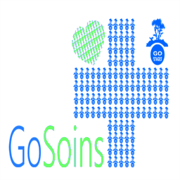 gosoins.fr