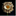 deadthingsbook.com