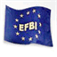 efbi.com.pl