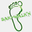 bak-walkn.com