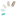 diyj.com