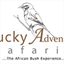 luckyadventuresafaris.com