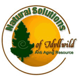 bestnaturalsolutions.com