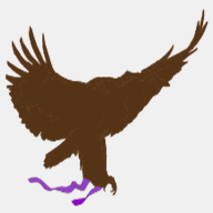 eagleswings.ca
