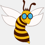 hnbees.com
