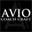 aviocoachcraft.com