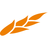 churchesculturesleadership.com