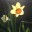 gardenblissblog.wordpress.com