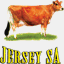 jerseysa.co.za