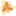 parc-des-algorithmes.com