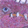 astrosings.blogspot.com