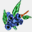 deltablueberries.com