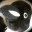 flapperbox.wordpress.com