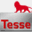 tesse.it